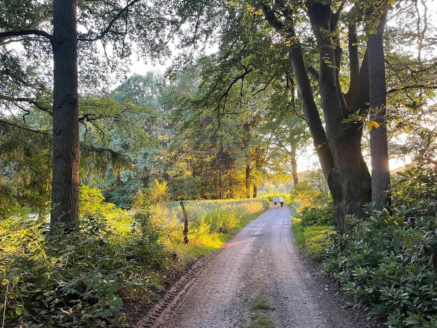 Twee mensen wandelen samen over een bospad in de avondzon
